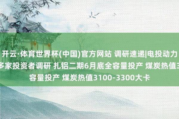 开云·体育世界杯(中国)官方网站 调研速递|电投动力(002128)给与多家投资者调研 扎铝二期6月底全容量投产 煤炭热值3100-3300大卡