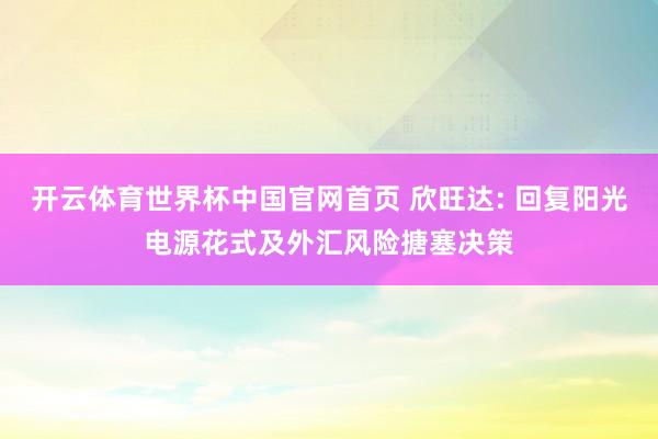 开云体育世界杯中国官网首页 欣旺达: 回复阳光电源花式及外汇风险搪塞决策
