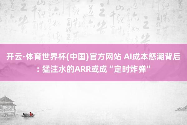 开云·体育世界杯(中国)官方网站 AI成本怒潮背后: 猛注水的ARR或成“定时炸弹”