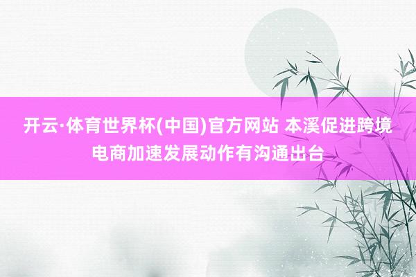 开云·体育世界杯(中国)官方网站 本溪促进跨境电商加速发展动作有沟通出台