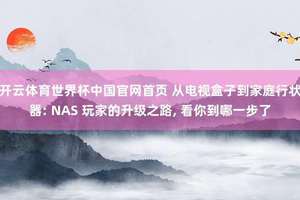 开云体育世界杯中国官网首页 从电视盒子到家庭行状器: NAS 玩家的升级之路, 看你到哪一步了