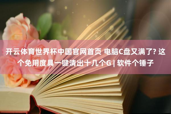 开云体育世界杯中国官网首页 电脑C盘又满了? 这个免用度具一键清出十几个G | 软件个锤子
