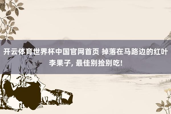 开云体育世界杯中国官网首页 掉落在马路边的红叶李果子， 最佳别捡别吃!