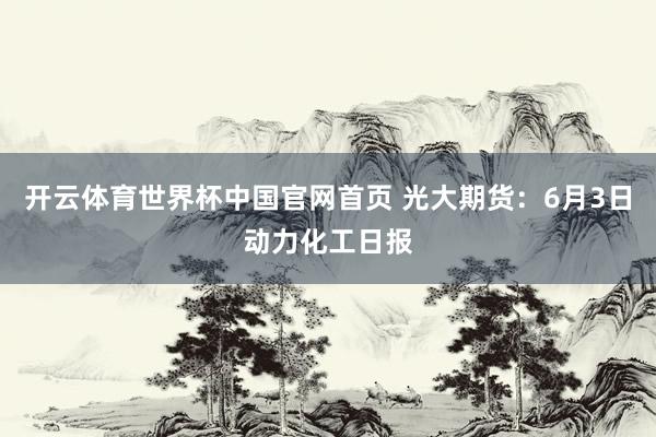 开云体育世界杯中国官网首页 光大期货:6月3日动力化工日报