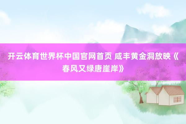 开云体育世界杯中国官网首页 咸丰黄金洞放映《春风又绿唐崖岸》