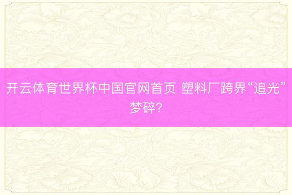 开云体育世界杯中国官网首页 塑料厂跨界“追光”梦碎?